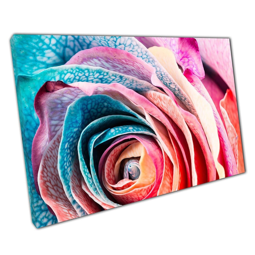 Rainbow Rose Macro Close Up Multicolour Canvas Wall Art Print On Canvas Mounted Canvas print