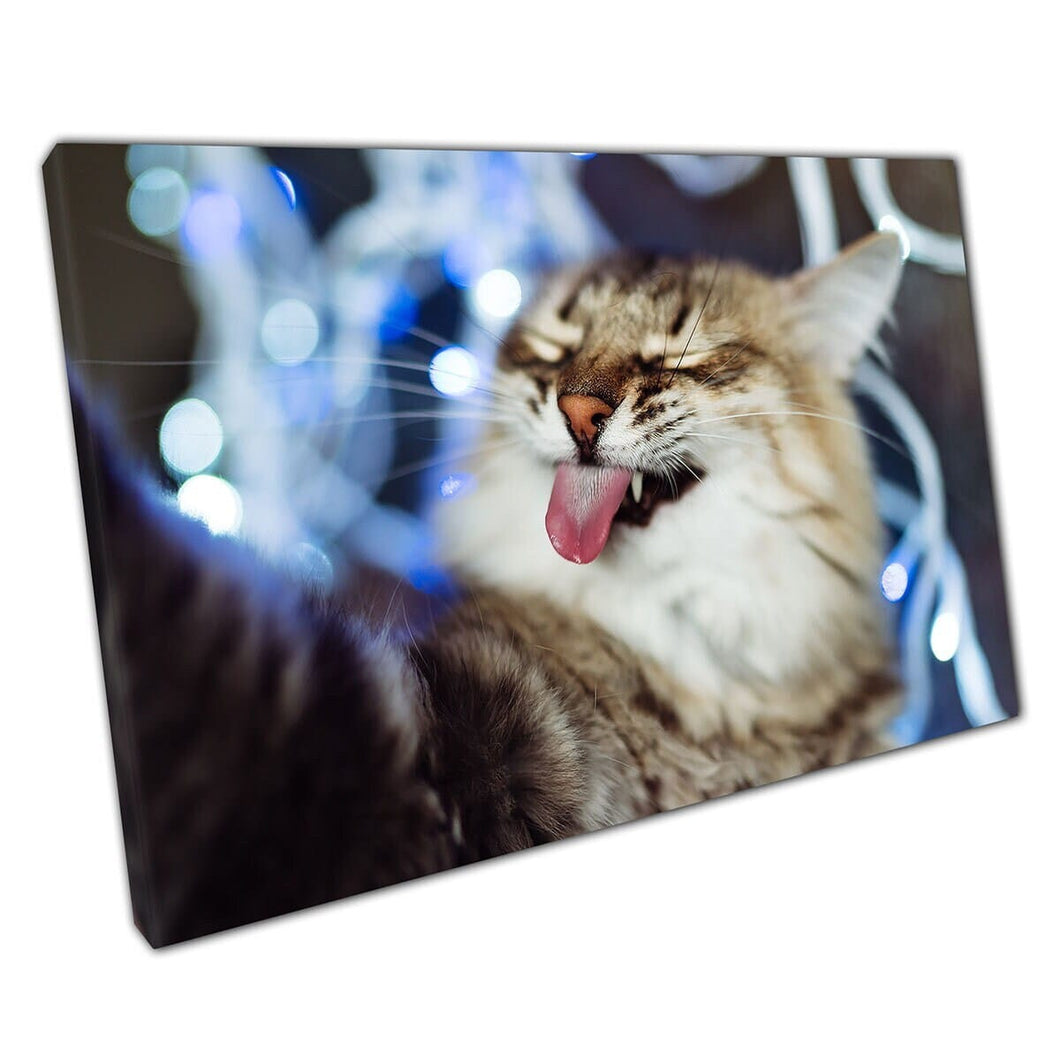 Funny Cat Sticking It's Tongue Out Taking A Selfie Cute Fluffy Pet Cat Kitten Wall Art Print On Canvas Mounted Canvas print