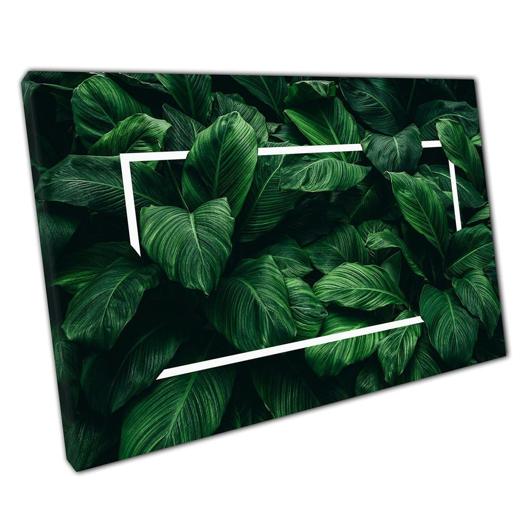 Deep Rich Green Plush Foliage Jungle Exotic Leaves Tropical Nature With Frame Wall Art Print On Canvas Mounted Canvas print