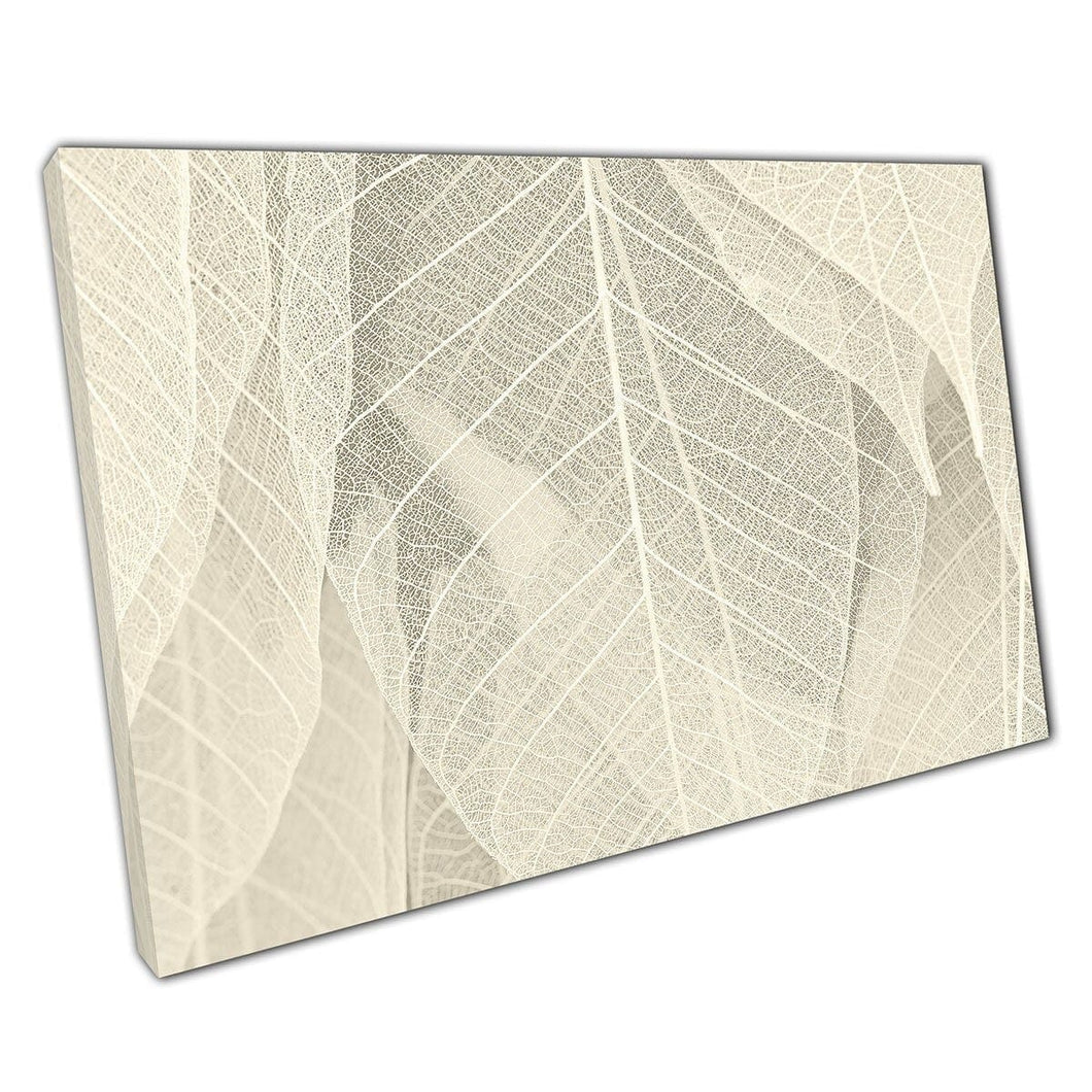 Dried Beige White Neutral Leaves Natural Texture Art Canvas Wall Art Print On Canvas Mounted Canvas print