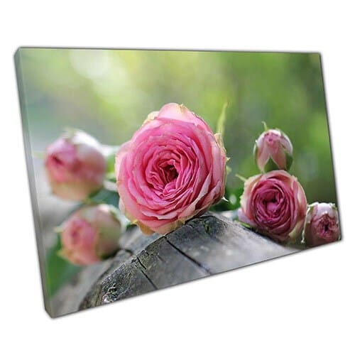 Print on Canvas pink roses Ready to Hang canvas Wall Art Print Mounted Canvas print