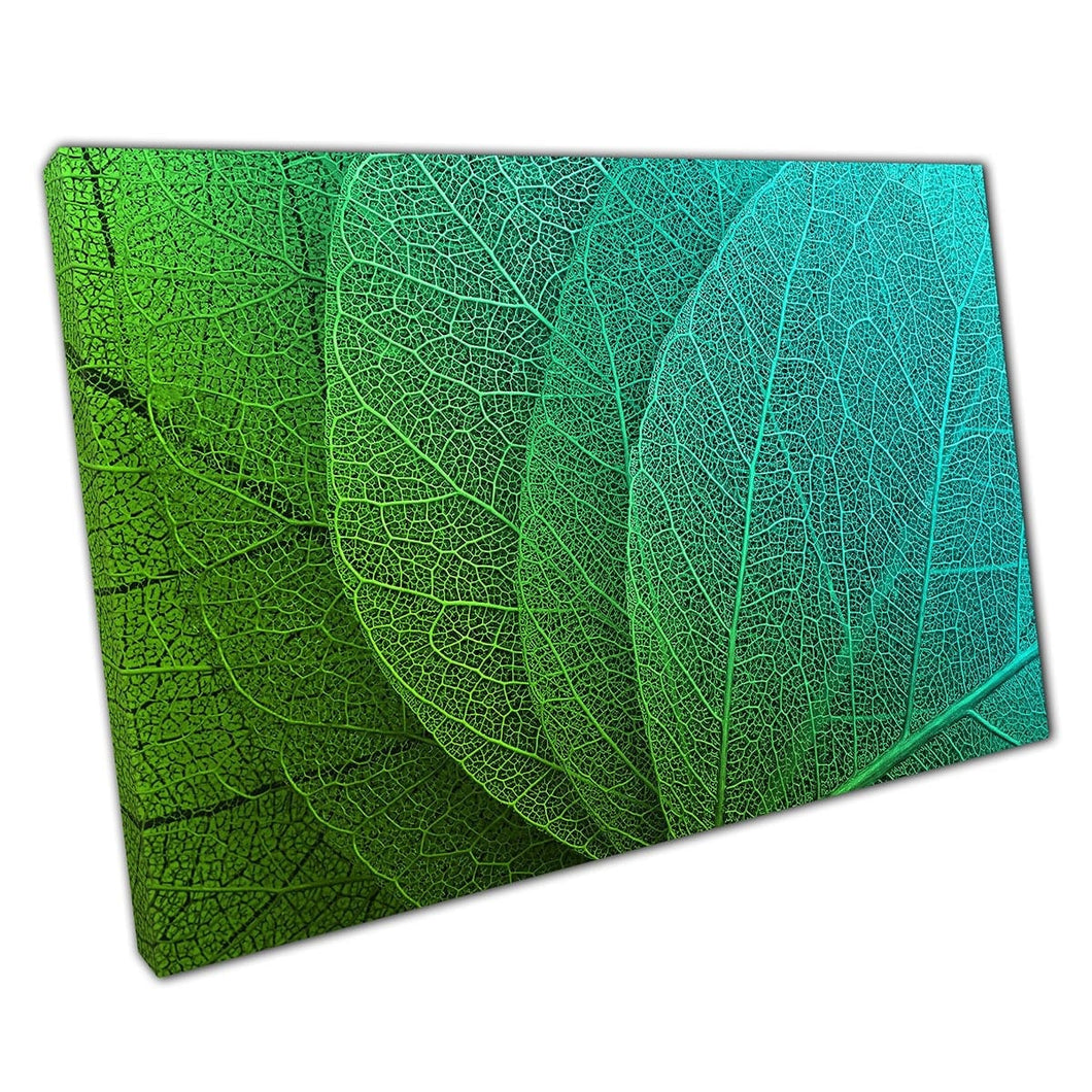 Macro Detailed View Of Green Blue Turquoise Leaves With Visible Veins Nature Wall Art Print On Canvas Mounted Canvas print