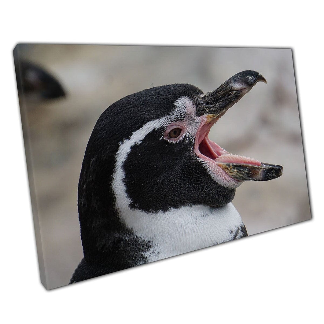 Face Of A Funny Sleepy Yawning Penguin Ready For A Nap Wildlife Sea Life Bird Animal Wall Art Print On Canvas Mounted Canvas print