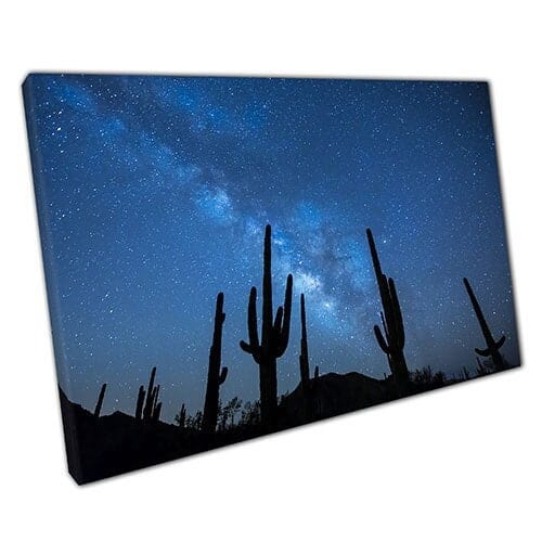 Print on Canvas Cactus Shadows and the Galaxy Desert Ready to Hang Wall Art Print Mounted Canvas print