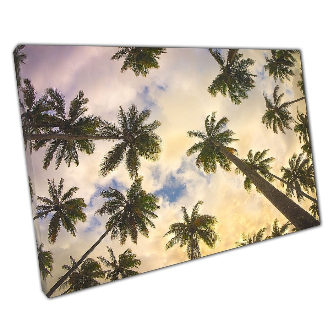 View Of Palm Trees From The Ground Under Beautiful Colourful Sky Wall Art Print On Canvas Mounted Canvas print