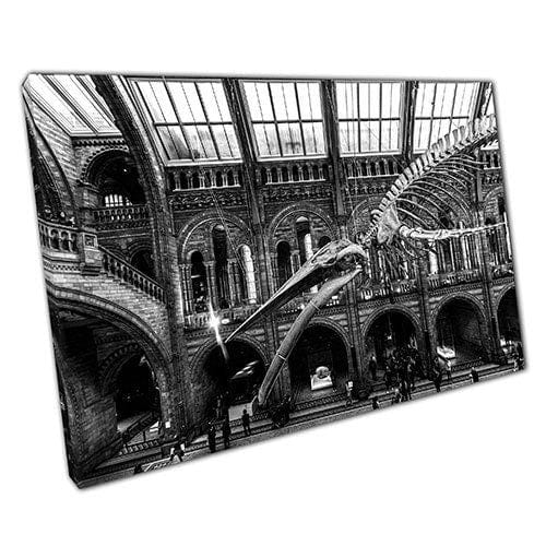 Print on Canvas National History Museum Black and White Ready to Hang Wall Art Print Mounted Canvas print