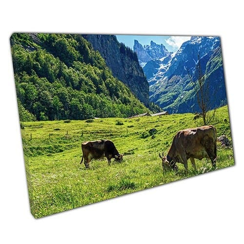 Print on Canvas Mountains With Local Alpine Fauna Ready to Hang Wall Art Print Mounted Canvas print