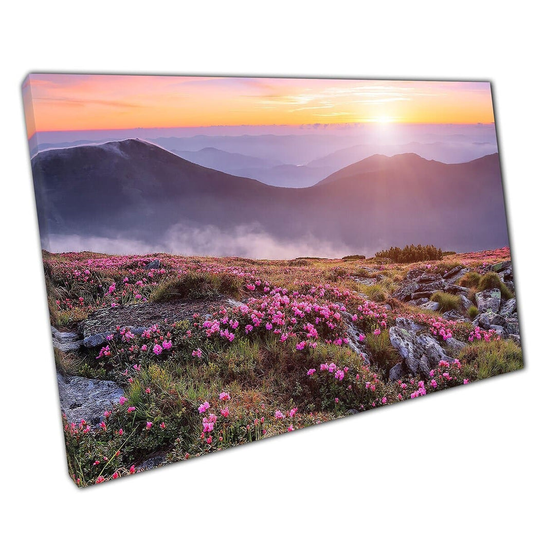 Pink Rhododendron Flowers Summer Sunset Over Mountains Carpathian Ukraine Europe Wall Art Print On Canvas Mounted Canvas print