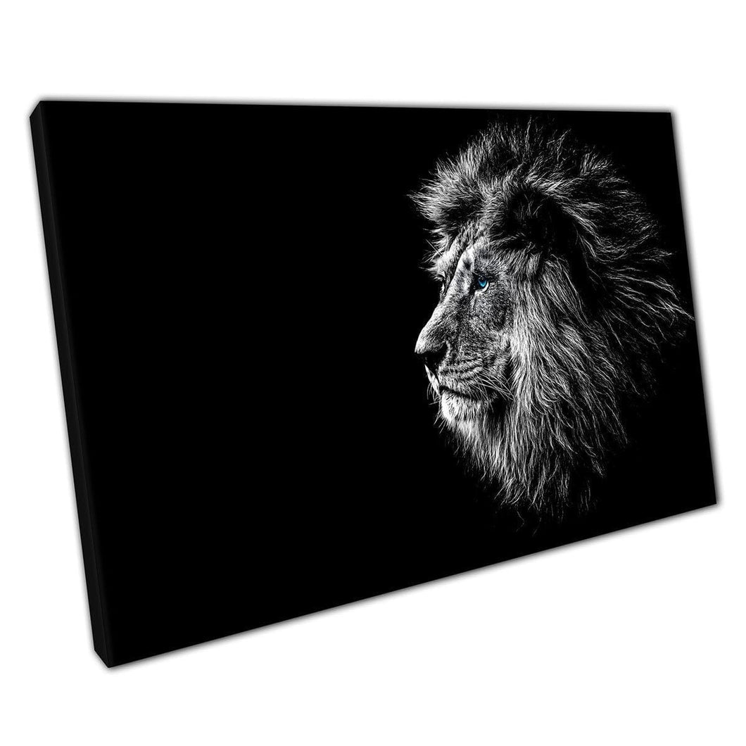 Male Lion With Astonishing Mane And Vivid Blue Eyes Black And White Photography Wall Art Print On Canvas Mounted Canvas print