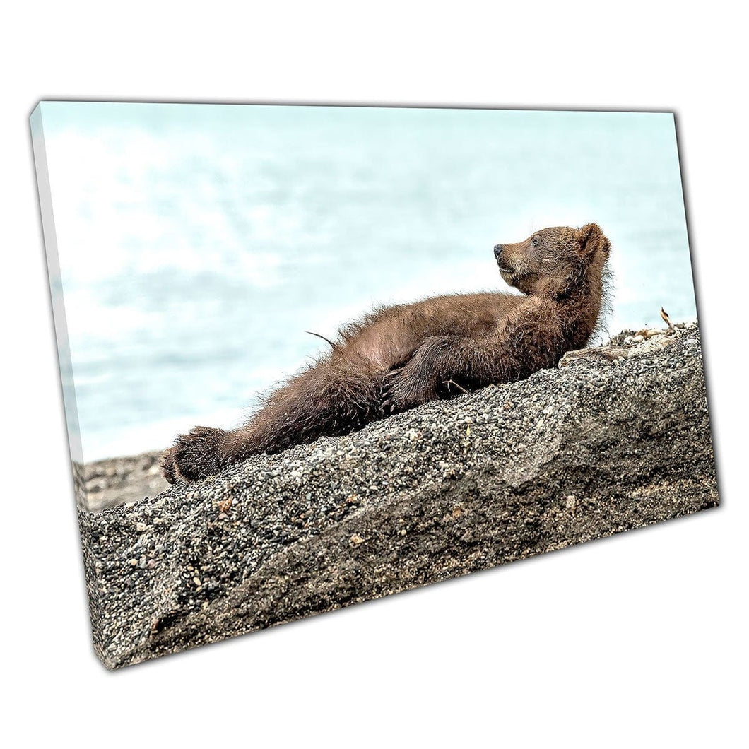 Funny Fuzzy Brown Bear Cub Relaxing On A Sandy Shore Cute Wild Animal Photography Wall Art Print On Canvas Mounted Canvas print