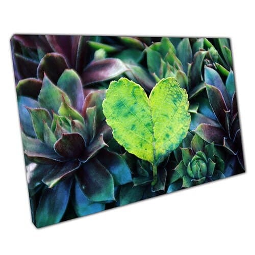 Print on Canvas Natural Leaf Loveheart in Nature Ready to Hang Wall Art Print Mounted Canvas print