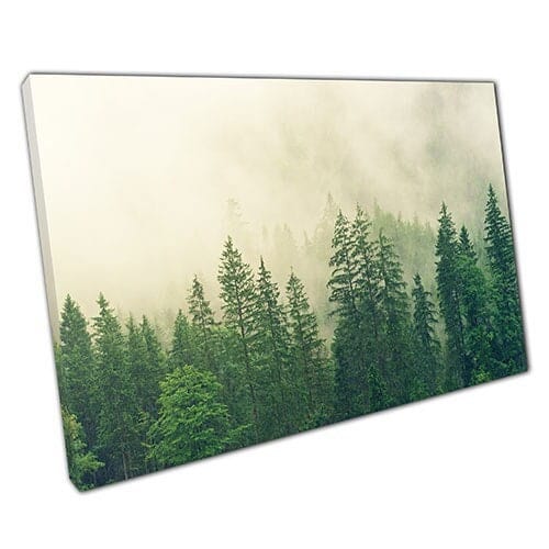 Print on Canvas Fog Covered Mysterious Woodland Wall Art Print Mounted Canvas print
