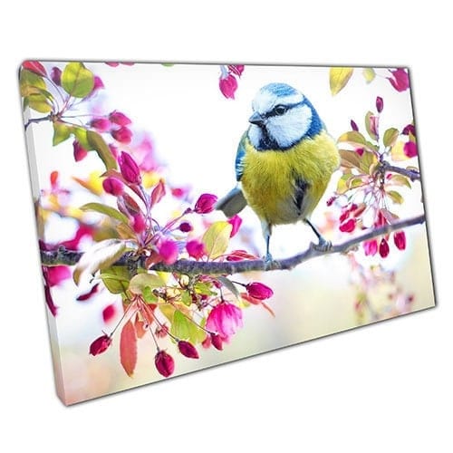 Print on Canvas bright Bird Ready to Hang canvas Wall Art Print Mounted Canvas print