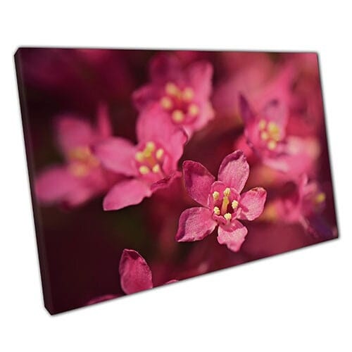 Print on Canvas Sweet Pink Flower Branch Details Wall Art Print Mounted Canvas print