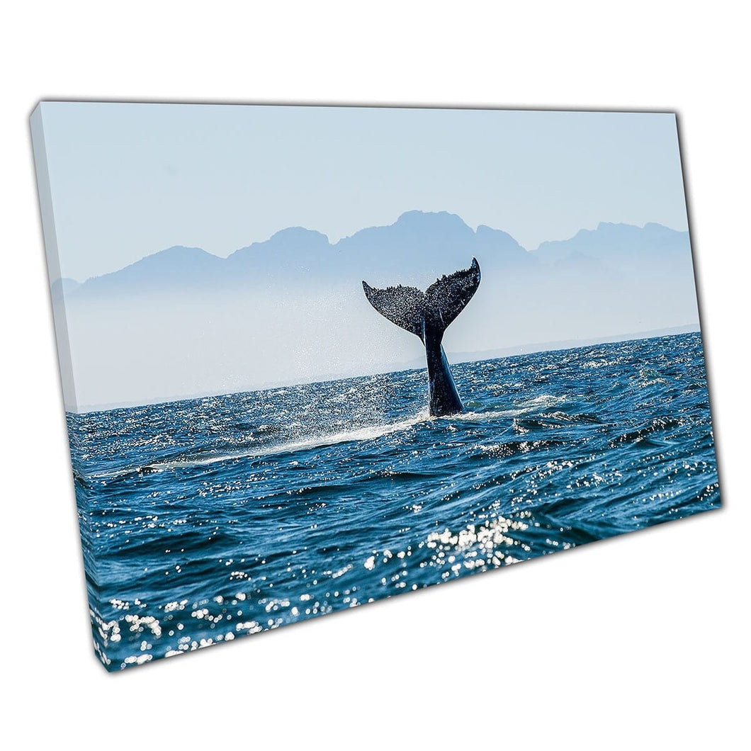 Humpback Whale With Tail Above The Water False Bay Of The Southern Africa Coast Wall Art Print On Canvas Mounted Canvas print