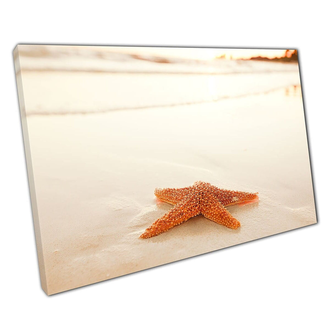 Orange Starfish On Beach Under Soft Sunrise Light Golden Morning Seascape Photography Wall Art Print On Canvas Mounted Canvas print