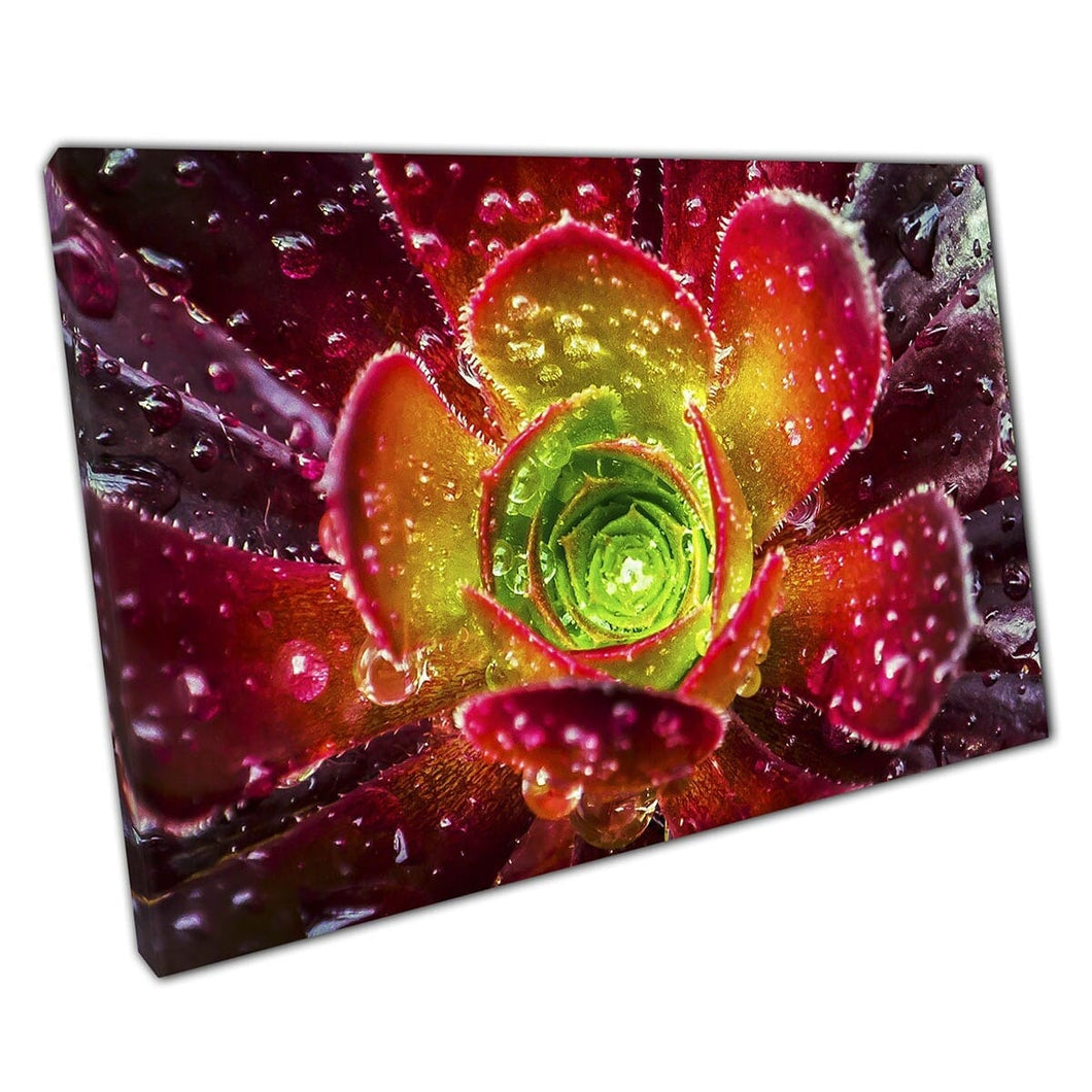 Macro Flower Details With Water Dew Droplets Canvas Wall Art Print On Canvas Mounted Canvas print