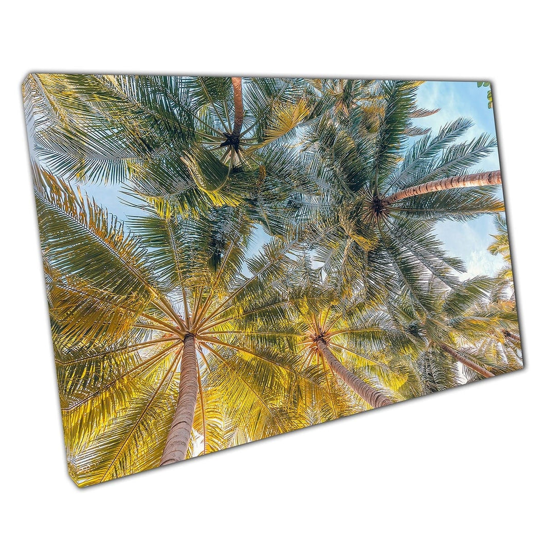 Morning Sun Rays Peeping Through Tall Palm Tree Leaves Tropical Environment Wall Art Print On Canvas Mounted Canvas print