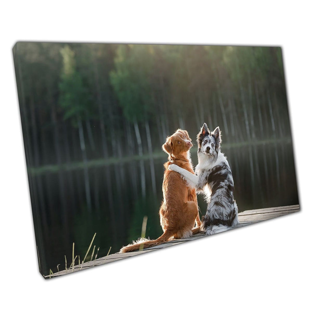 Due cani che si rilassano insieme i migliori amici accanto a Water Woodland Pet Dogs Photography Wall Art Stampa su tela di tela montata