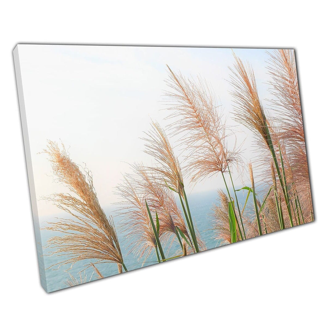 Miscanthus Silver Grass In Front Of Calm Soothing Ocean On A Sunny Day Calming Nature Wall Art Print On Canvas Mounted Canvas print