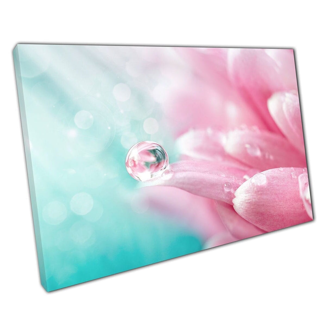 Morning Dew Water Droplets Resting On Soft Pink Flower Petals Floral Spring Summer Wall Art Print On Canvas Mounted Canvas print