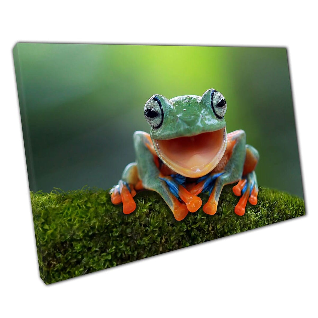 Happy Tree Frog Perched On A Mossy Rock Laughing Funny Nature Wild Animal Photography Wall Art Print On Canvas Mounted Canvas print