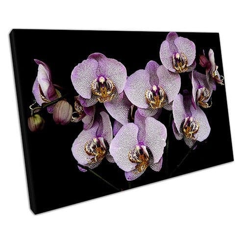 Print on Canvas Vintage Orchid Flowers Canvas Wall Art Ready To Hang Print Mounted Canvas print
