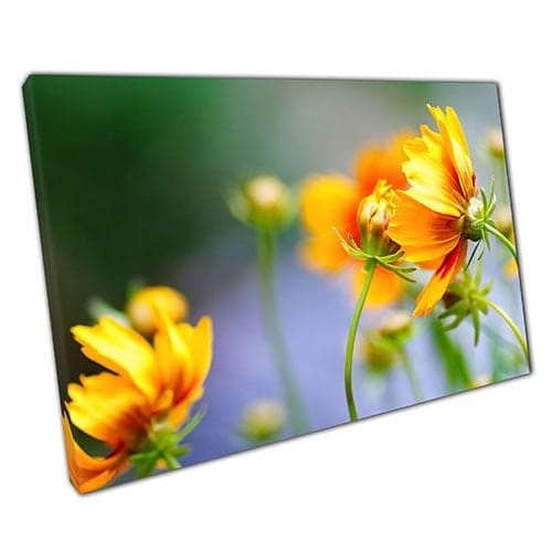 Print on Canvas Yellow Flowers in the Sun Ready to Hang Wall Art Print Mounted Canvas print