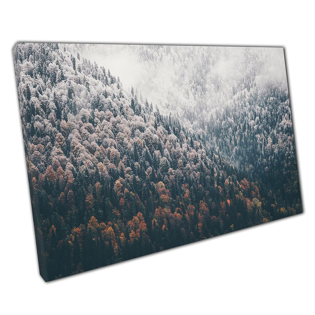 Scenic Serene Snow Dusted Coniferous Woodland Forest Foggy Landscape Wall Art Print On Canvas Mounted Canvas print