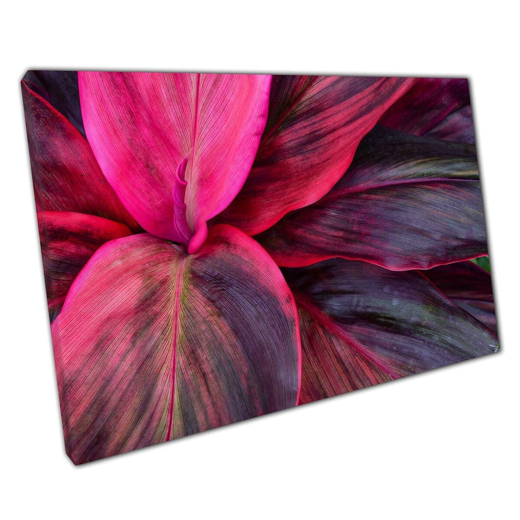 Vibrant Magenta Pink And Deep Dusky Purple Topical Exotic Leaves Foliage Nature Wall Art Print On Canvas Mounted Canvas print