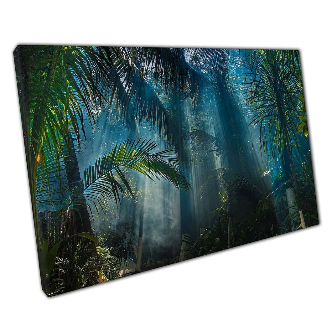 Morning Sun Beams Seeping Into A Thick Plush Tropical Exotic Jungle Natural Habitat Wall Art Print On Canvas Mounted Canvas print