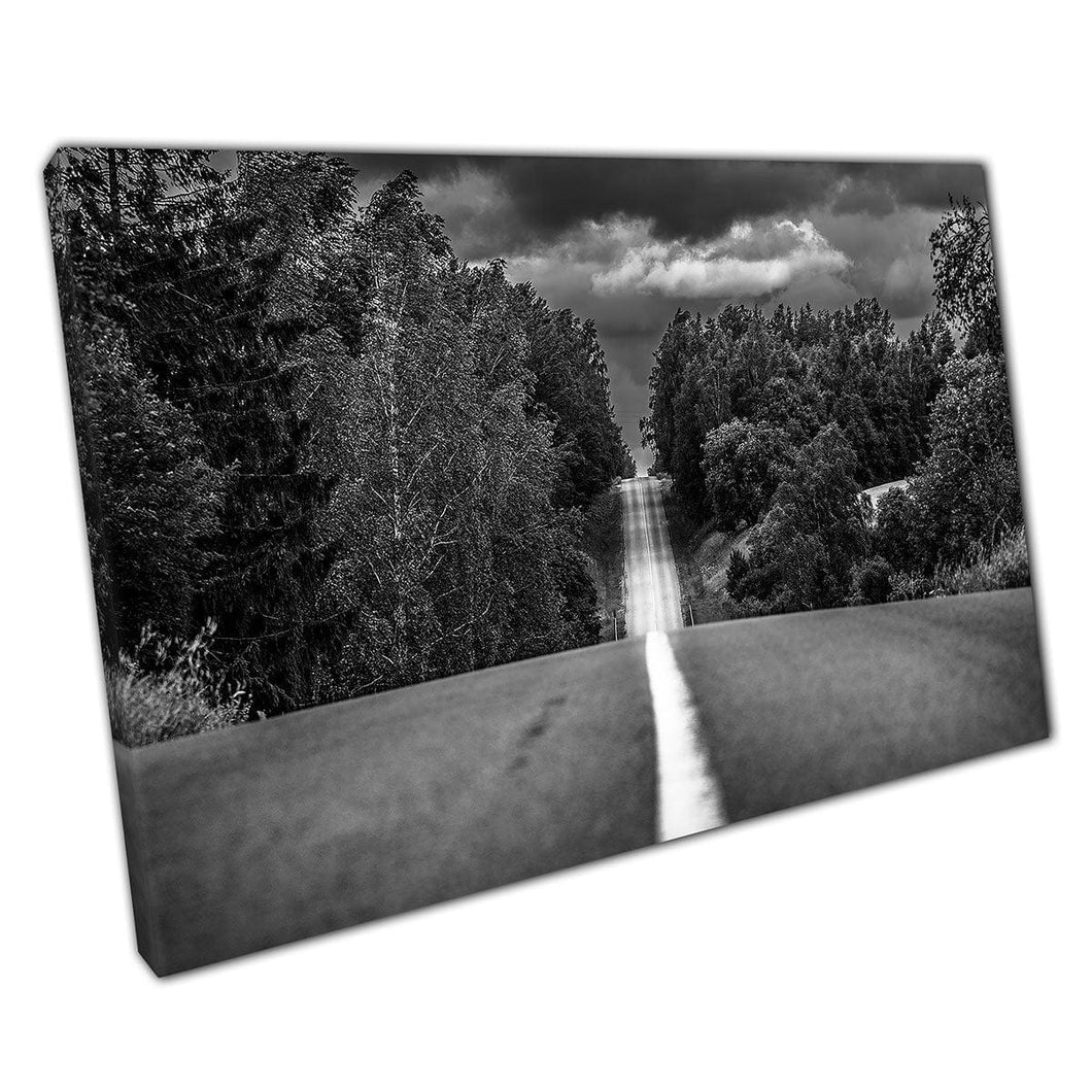 Vista monocromática dramática de un camino que pasa a través de un grueso bosque de bosque estampado de arte de pared de bosque en lienzo montado en lienzo