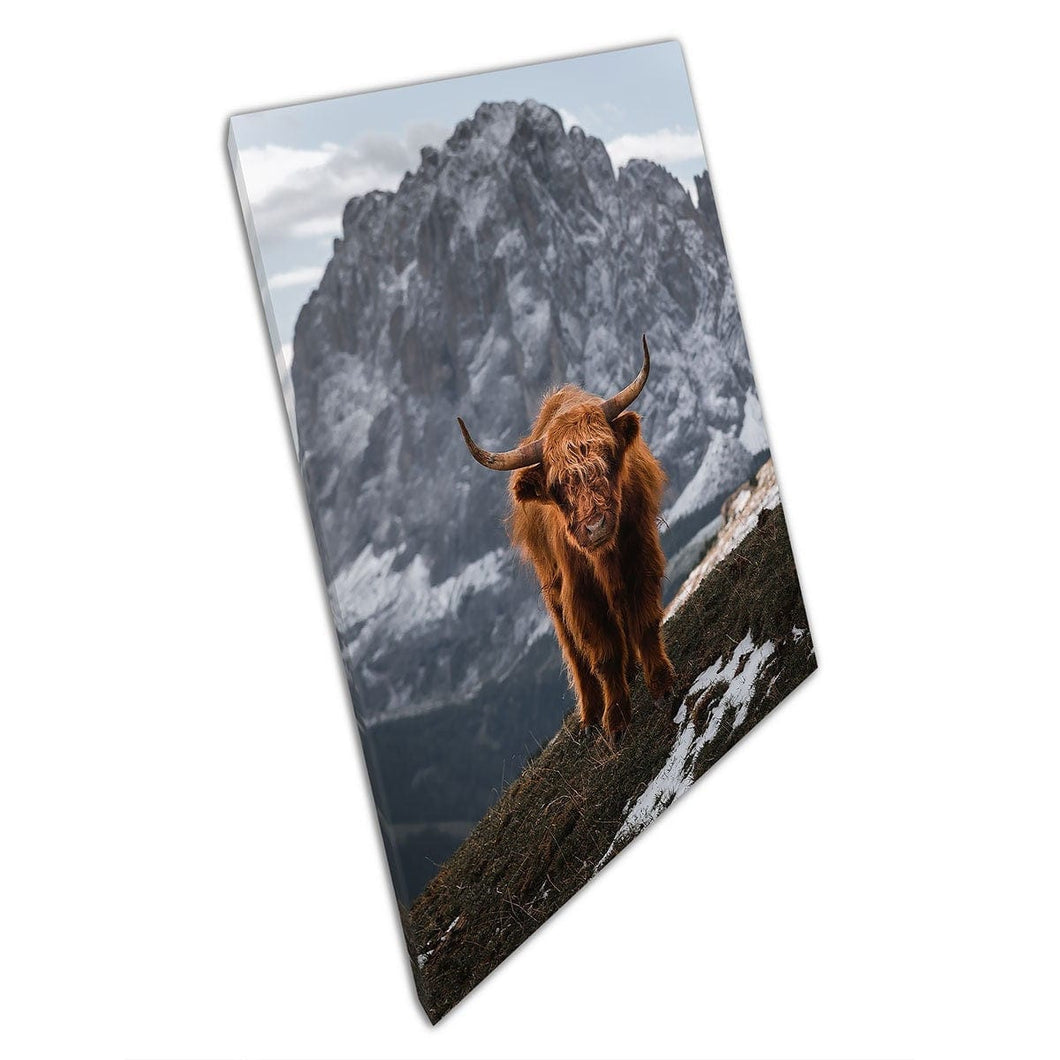 Cow At Mountain Peak Dolomites Italy Wildlife Nature Photography Wall Art Print On Canvas Mounted Canvas print