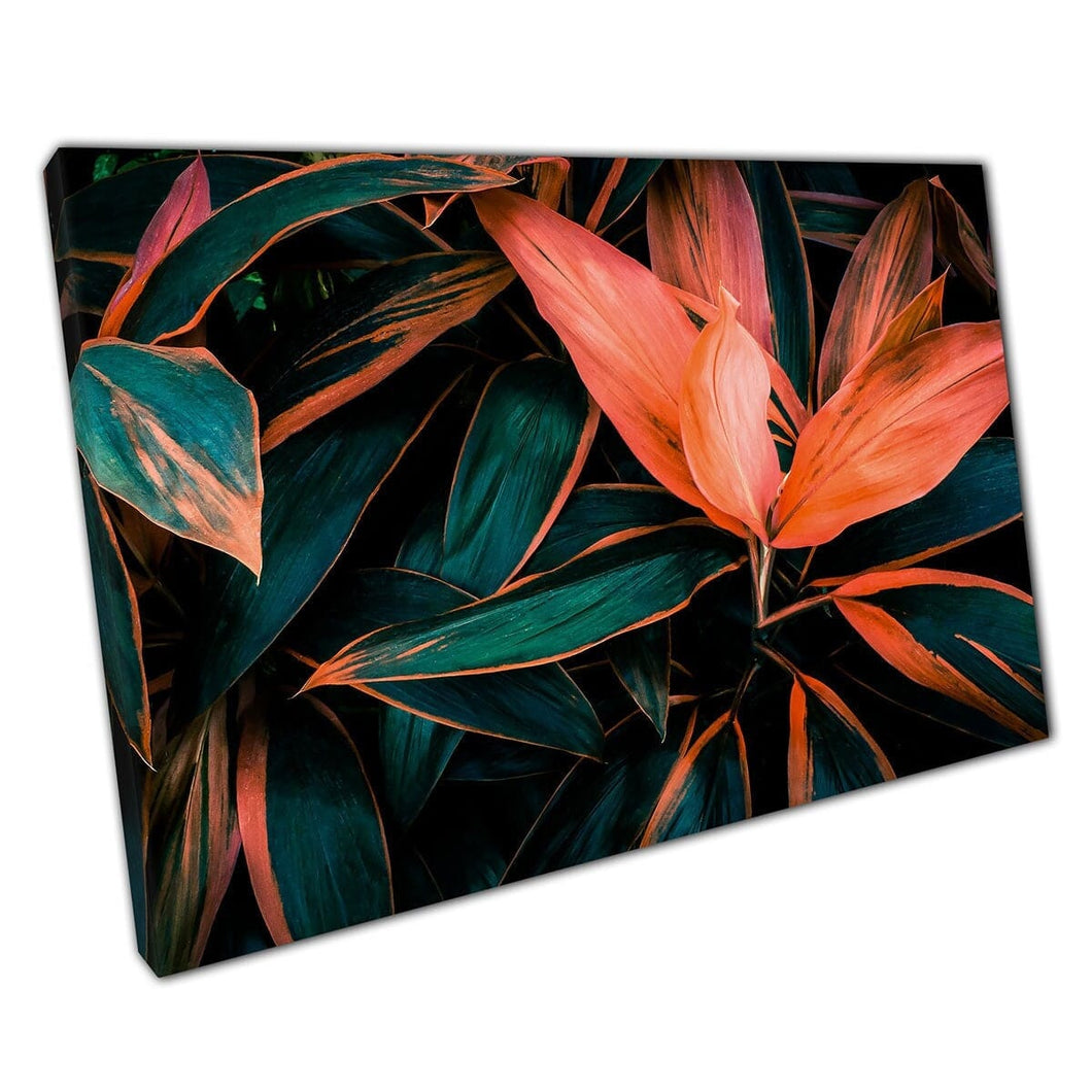 Cordyline Fruticosa Leaves Contrasting Coral And Green Exotic Tropical Foliage Nature Wall Art Print On Canvas Mounted Canvas print