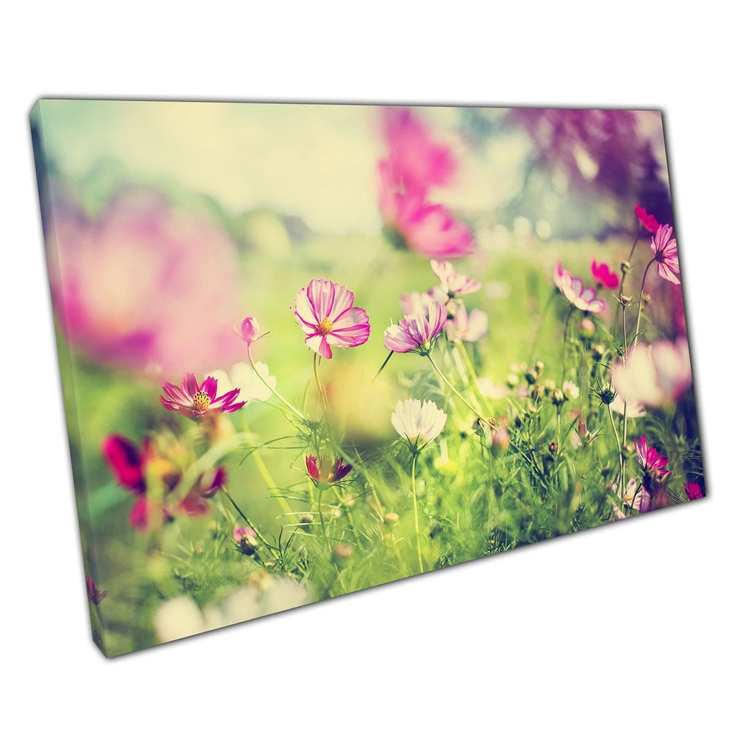 Beautiful Delicate Magenta Pink And White Small Garden Meadow Flowers Photography Wall Art Print On Canvas Mounted Canvas print