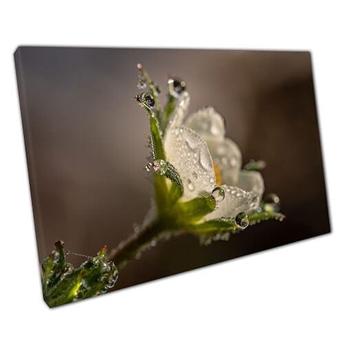 Print on Canvas water flower Ready to Hang canvas Wall Art Print Mounted Canvas print