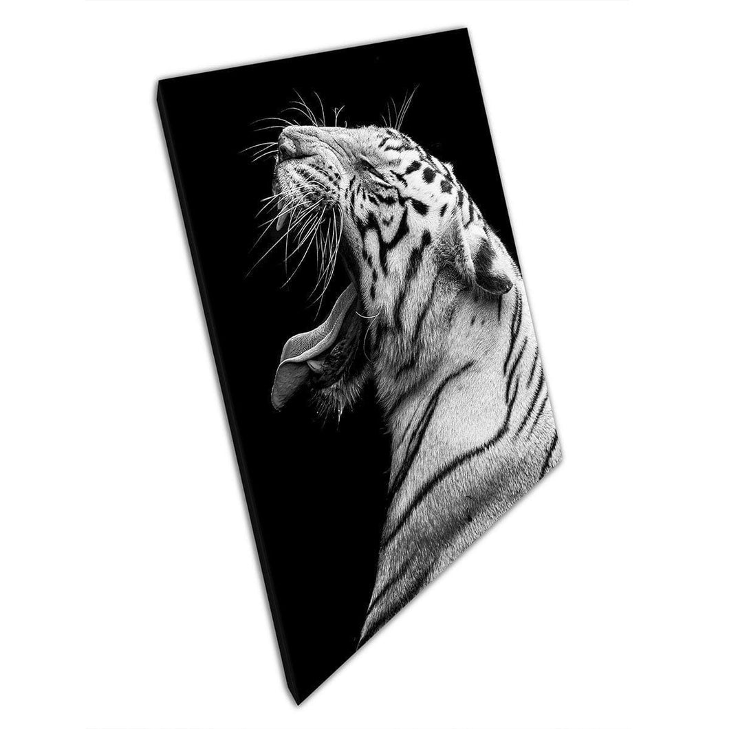Fierce Roaring Bengal Tiger Black And White Nature Photography Wall Art Print On Canvas Mounted Canvas print