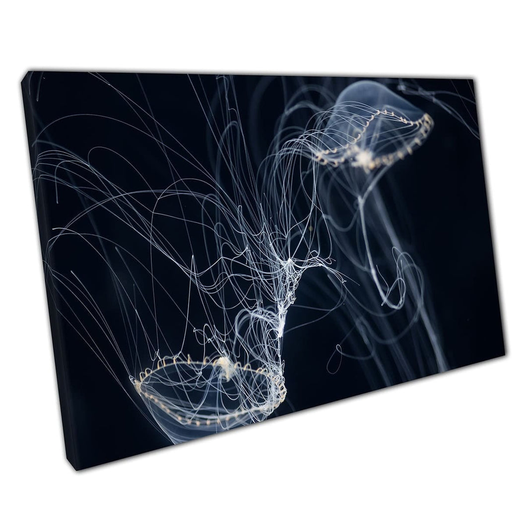 White Translucent Jellyfish Floating Through Dark Water Dangerous Ocean Sea Life Wall Art Print On Canvas Mounted Canvas print