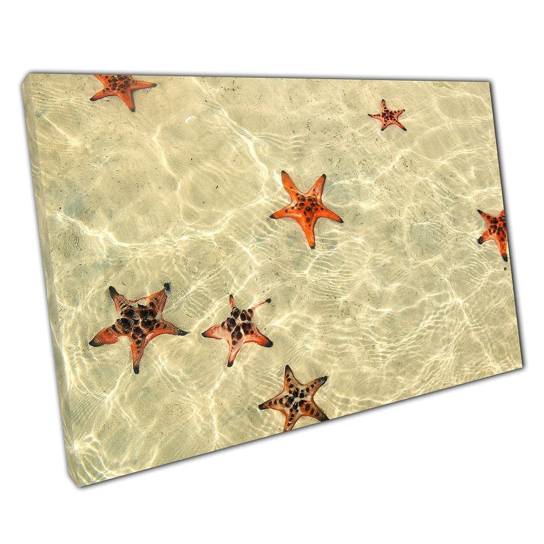 Orange Starfish Chilling In Shallow Water Phu Quoc Starfish Beach South Vietnam Wall Art Print On Canvas Mounted Canvas print
