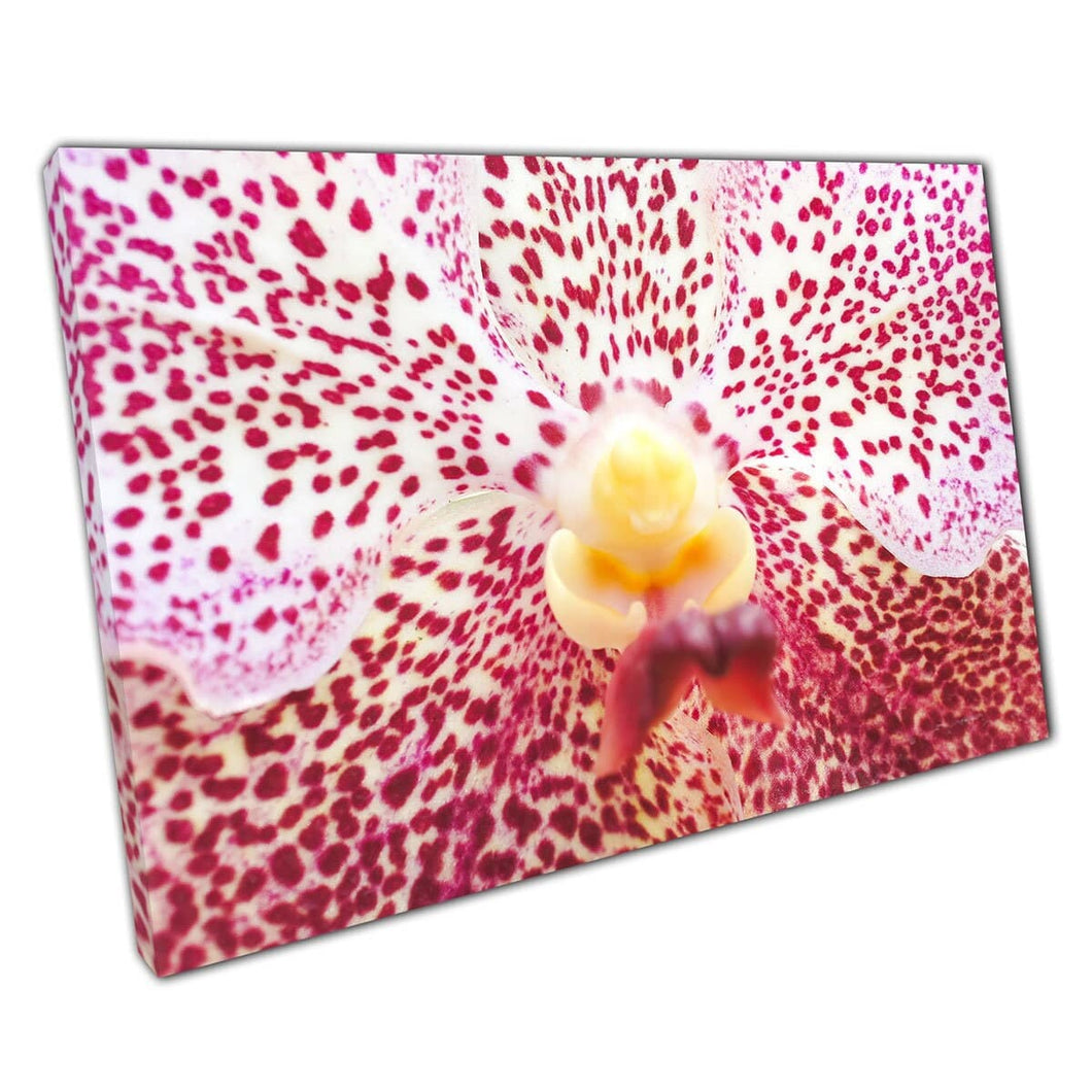 Macro Abstract View Of An Orchid Flower Soft Focus Floral Art Deep Pink Shades Wall Art Print On Canvas Mounted Canvas print
