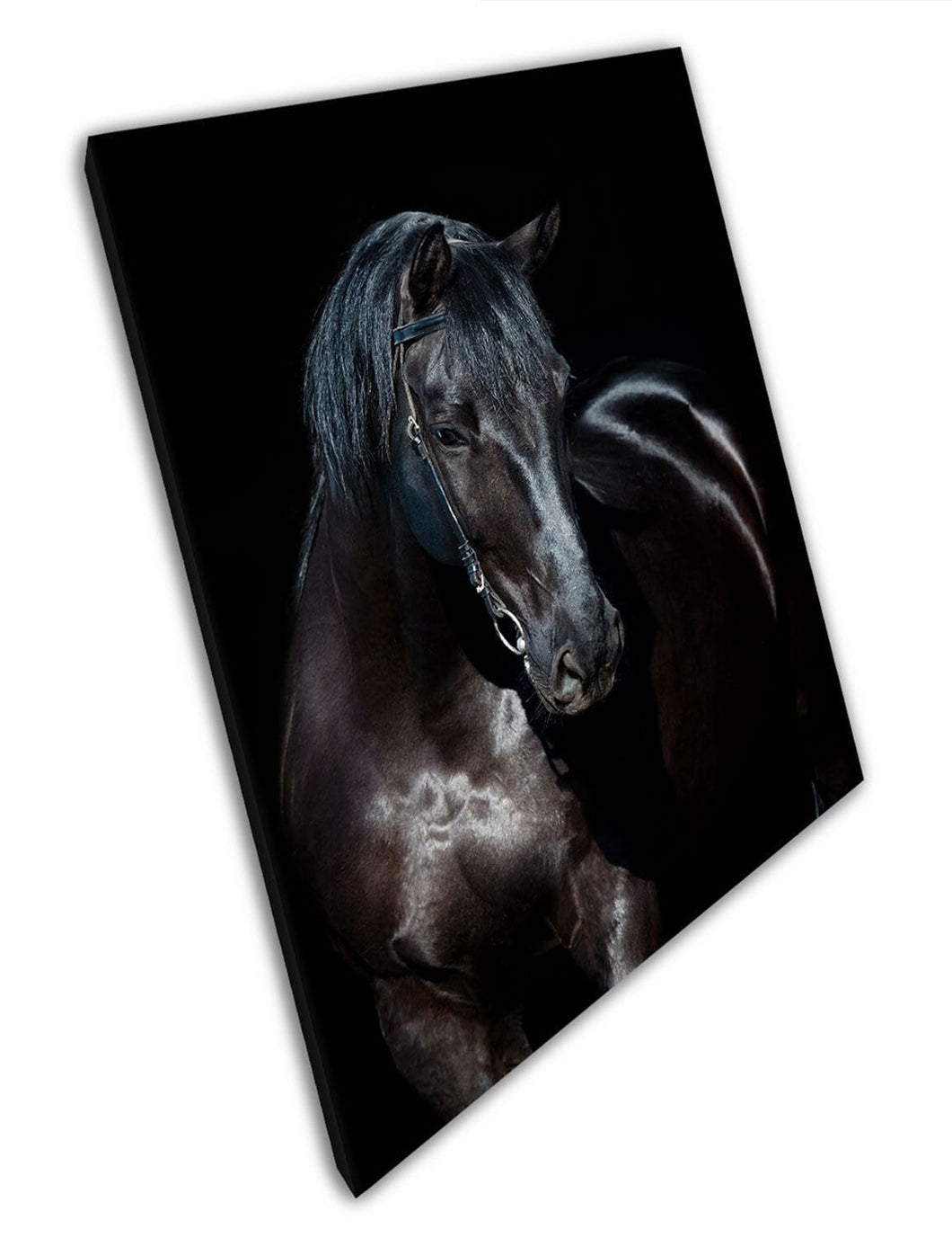 large beautiful Black horse Animal Art Ready to Hang Wall Art Print Mounted Canvas print