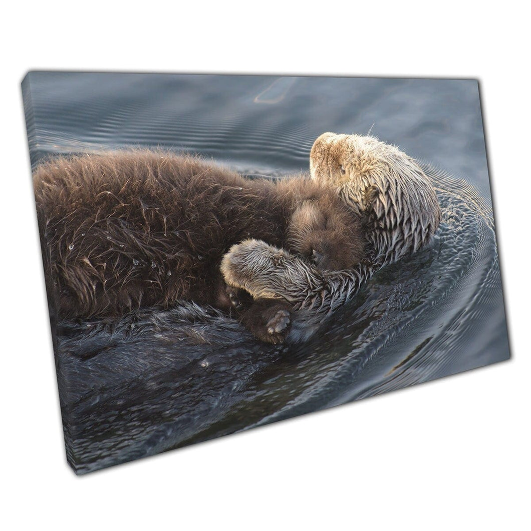 Cuddling Otters Floating Calmingly In The Water Morro Bay Pacific Coast Cute Animals Wall Art Print On Canvas Mounted Canvas print