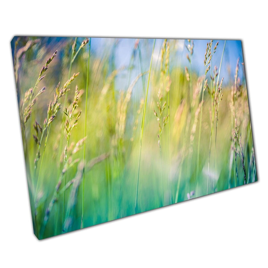 Fresh Vivid Green Tones Of Grass In A Peaceful Meadow Abstract Nature Photography Wall Art Print On Canvas Mounted Canvas print