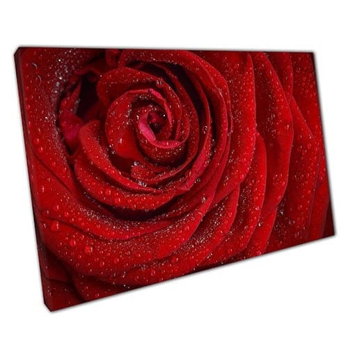 Print on Canvas water red rose Ready to Hang canvas Wall Art Print Mounted Canvas print