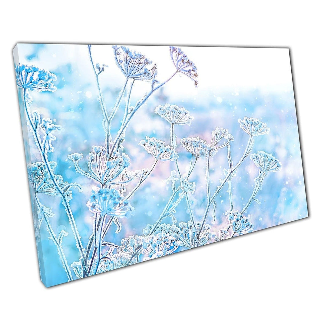 Icy Frozen Grass Plant In Winter Meadow In The Middle Of A Morning Snowstorm Snowy Wall Art Print On Canvas Mounted Canvas print