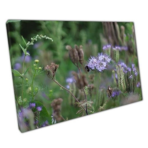 Print on Canvas Wildflower Meadow and Bee Wall Art Print Mounted Canvas print