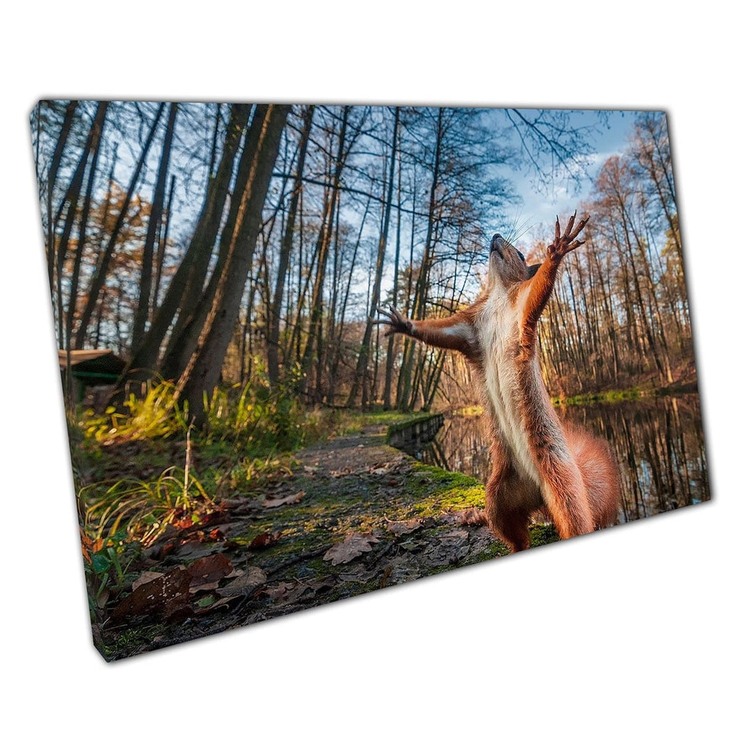Funny Red Squirrel Standing Tall In Forest Woodland Nature Photography Wall Art Print On Canvas Mounted Canvas print