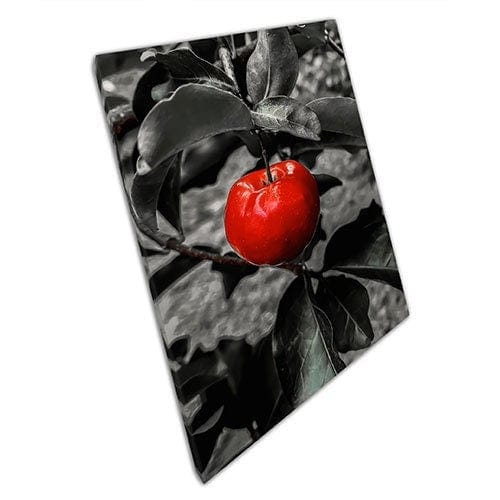 Print on Canvas Red Apple Art Ready to Hang Canvas Wall ArtWall Art Print Mounted Canvas print