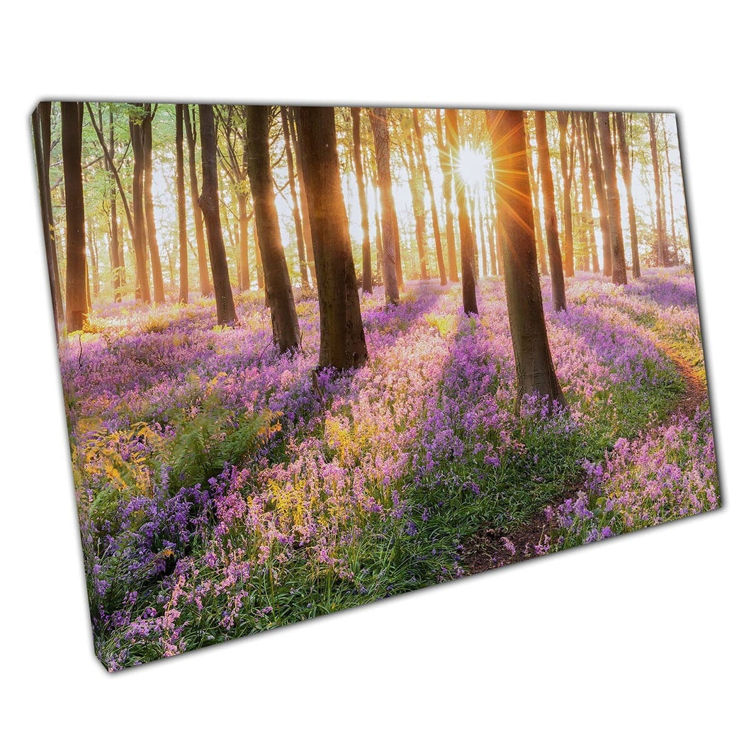 Sunrise Shining Through Tall Trees Of Majestic Fairy-tale Bluebell Forest Woodland Wall Art Print On Canvas Mounted Canvas print