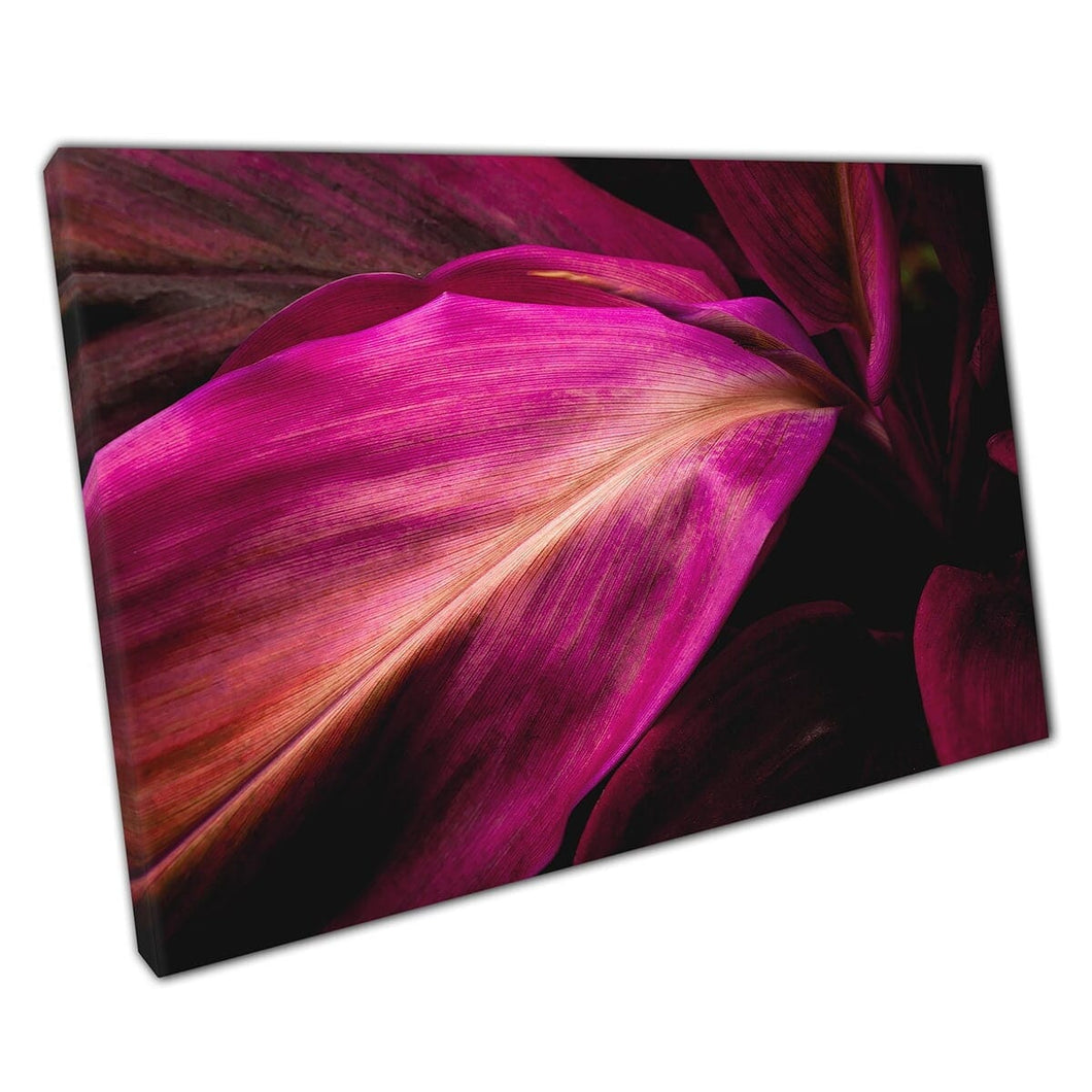 Deep Pink Purple Abstract View Of Exotic Tropical Vibrant Leaves Nature Photography Wall Art Print On Canvas Mounted Canvas print